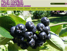 Tablet Screenshot of mojaaronija.com